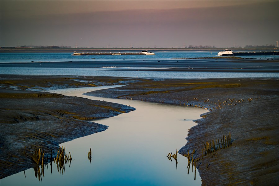 Bericht Vlaams-Nederlandse Schelde Delta erkent als UNESCO Geopark bekijken